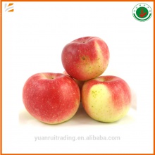 fresh red gala apple fruit - product's photo
