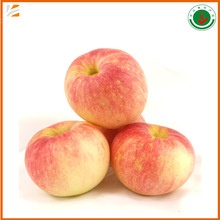 fresh red gala apple fruit for export with best price - product's photo