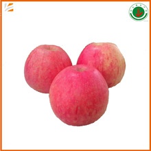 fresh red qinguan apple fruit for exporter - product's photo