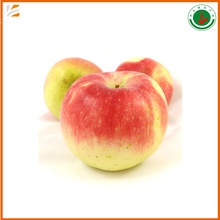 fresh red chinese gala apple fruit for sale - product's photo