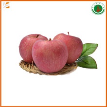 fresh organic qinguan apple - product's photo
