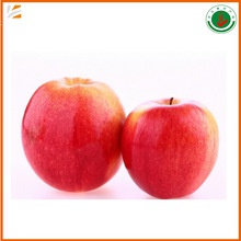 sweet organic fresh qinguan apple fruit  - product's photo