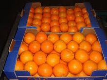 fresh naval orange - product's photo