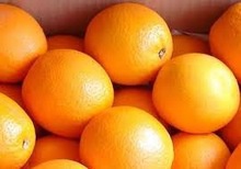 fresh valencia oranges - product's photo