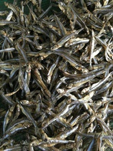 dried sprats in vietnam with the best quality - product's photo