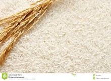white rice - long grain rice crop 2017 - product's photo