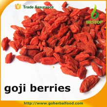 gmp 100% certified organic goji berry - product's photo