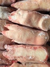 frozen pork front feet and frozen pork hind feet in 10kg cartons - product's photo