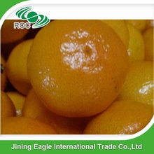 nanfeng baby mandarin orange fresh tangerine - product's photo