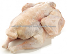 whole turkey meat - product's photo