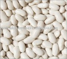 white kidney beans long and round shape - product's photo