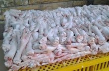 grade a halal processed frozen chicken feet - product's photo