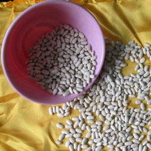 bai sha ke white kidney beans dry white kidney beans - product's photo