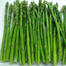 frozen green asparagus - product's photo