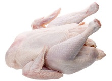frozen chicken manufacturers | frozen chicken suppliers - product's photo