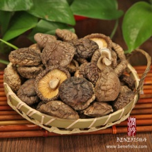 dried mushroom(shiitake) - product's photo