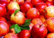 best fresh apple fruit for sale - product's photo