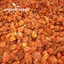 organic golden berries - product's photo