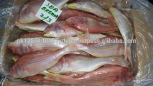  fresh frozen red sea bream fish (seafood) - product's photo