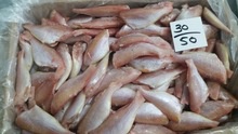 frozen a quality fresh/frozen sea bream hgt (seafood) - product's photo