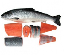 fresh and frozen atlantic salmon fish - product's photo