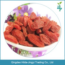 chinese ningxia goji berry  - product's photo