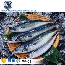 whole frozen sea mackerel fish as food - product's photo
