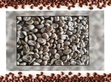 100% arabica green coffee bean - product's photo