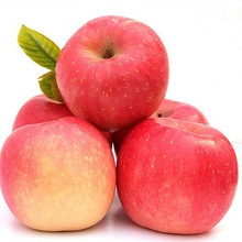 fresh  fuji apple fruit - product's photo
