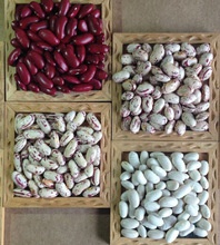 chinese kidney beans - product's photo