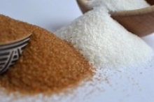 brown cane sugar icumsa - product's photo