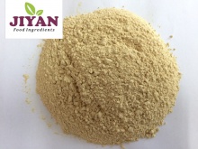dehydrated garlic powder indian spices - product's photo