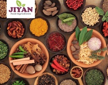 indian whole and ground spices - product's photo