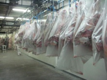 beef carcass uruguay - product's photo