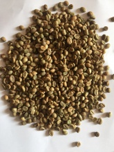 coffee beans  - product's photo