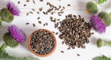 milk thistle seeds (silybum marianum): us$ 0.6-0.9 /kg - product's photo