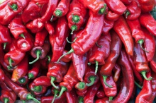 chili pepper - product's photo