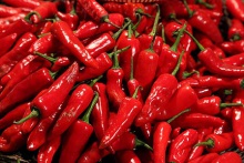 chili pepper fresh - product's photo