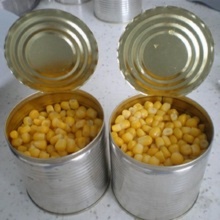 grade a non gmo yellow corn maize - product's photo
