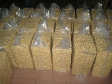 cashew nuts high quality for export - product's photo