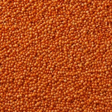 shifa red lentils - product's photo