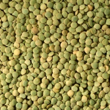 shifa green lentils - product's photo