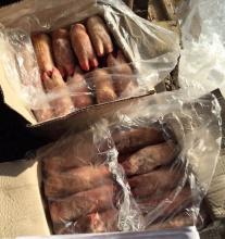 frozen pork feet front and hind grade a - product's photo