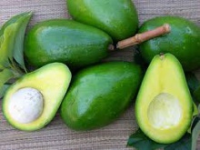 fresh avocado - product's photo