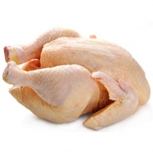 brazil grade  frozen whole chicken suppliers - product's photo