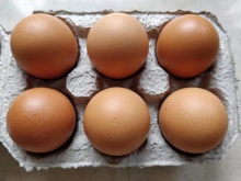 broiler egg cobb - product's photo