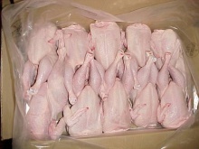 frozen bone halal chicken breast - product's photo