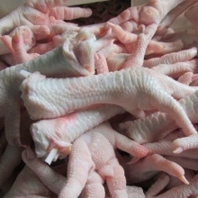 selling frozen chicken feet/chicken paws - product's photo