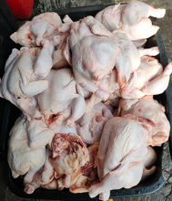 wholesale chicken suppliers - manufacturers frozen chicken | jbs foods - product's photo