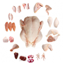 manufacturers frozen whole chicken | frozen whole chicken supplier - product's photo